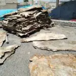 IMG 20250617 WA0001