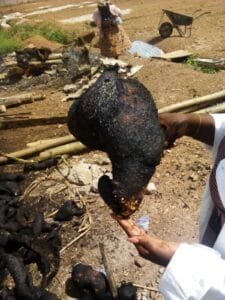 Processed burnt cow head skins for traditional culinary and agricultural wholesale market