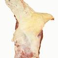 BUFFALO FOREQUARTERS WITH FLANK