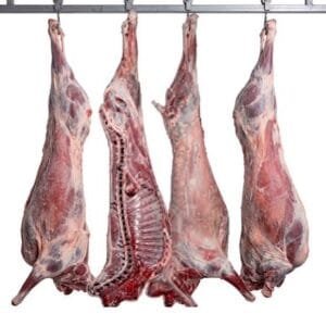 BUFFALO HALF CARCASSES